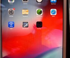 iPad Mini 2 (White, 16GB, Great Condition, Case Included)