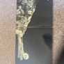 Led Zeppelin vinyl Image 3