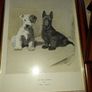 Famous antique Dog illustrations Image 2