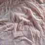 Bed Spread Image 2