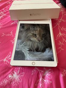 ipad pro WiFi and cellular