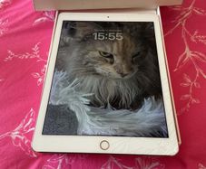 ipad pro WiFi and cellular