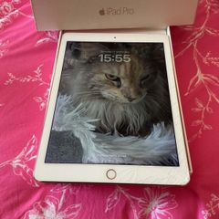ipad pro WiFi and cellular