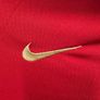 Nike Portugal 2008-10 home shirt Image 3