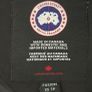 Canada goose Image 4