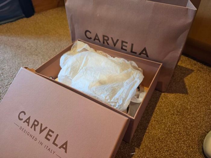 Carvela sneakers