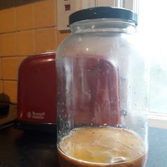 Kombucha Scoby + Starter Tea