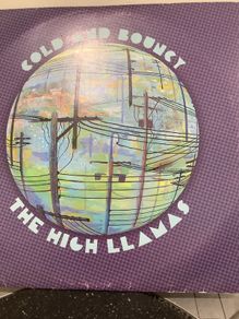 The High Llamas Vinyl Lp