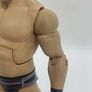 wwe elite series 4 Chris Jericho y2J action figure (boot joint glued so can't move ) Image 2