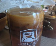 Kombucha starter
