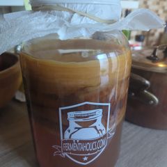 Kombucha starter