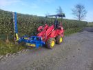 hedge cutting Image 4