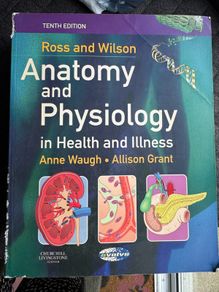 Anatomy & physiology