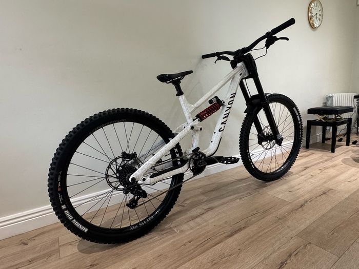 Canyon Torque DH Mtb