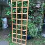 trellis Image 2