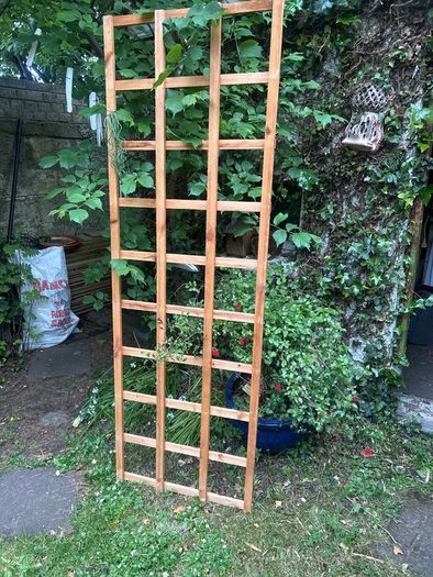 trellis