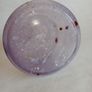 Caithness Scottish Art Glass Swirl Lavender Vase Image 4