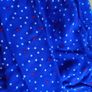 pumpkin patch red and blue dress Image 6