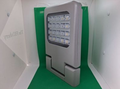 Postage - Thorn LED Flood Light - OLSYS1