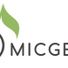 MICGEEK-IRELAND