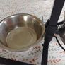 adjustable dog feed/ water Image 10