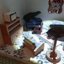 Dolls House Image 4