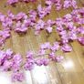 cherry blossom flowers vine Image 4