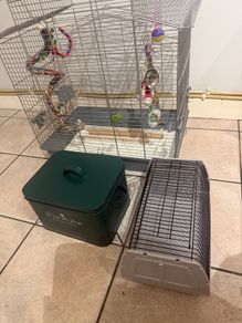 Birds cage