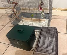 Birds cage