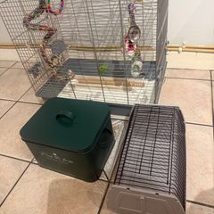 Birds cage