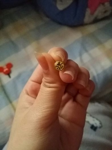 Phone dust stopper