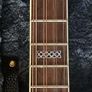 Bouzouki with hard case Image 3