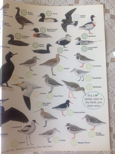 Coastal & Sea Birds Handbook