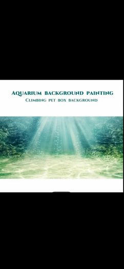 Fish Tank Background 100cm x 50cm