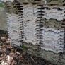 Reclaimed Roof Tiles 15x9 Image 5