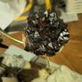 Candle quartz  crystal cluster huge Image 9