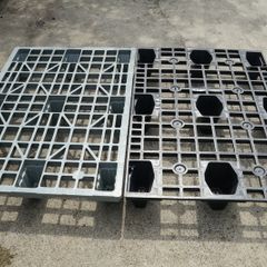Plastic Pallets