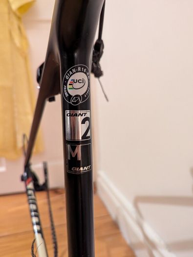 giant tcr