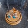 cloche display butterflies Image 7