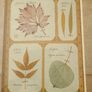Large Framed Botanical Print Leaf Albums Wood Frame Image 6