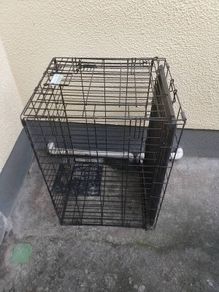 dog cage