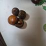 Vintage Buttons Image 4