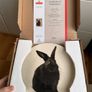 Full Set of 4 Royal Doulton / Royal Mail Plates - RSPCA Limited Edition Image 5