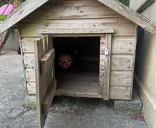 XL Dog Kennel
