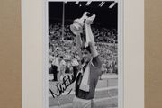 Norman Whiteside autograph Manchester United