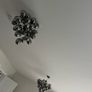 Ceiling light Image 2