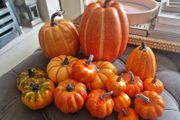 Halloween Decorations