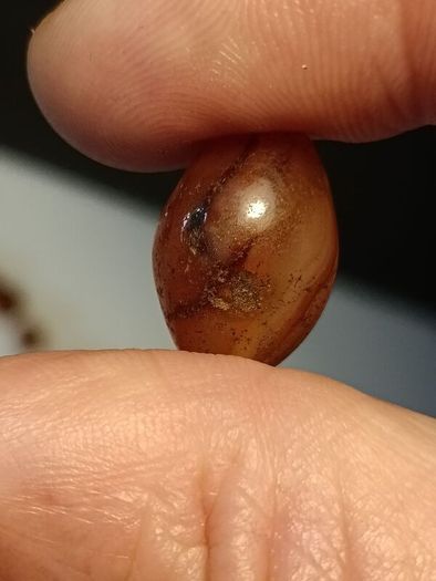 25 1900BC Carnelian Ancient Egypt Beads(With COA)