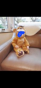 Monkey Costume/Fancy Dress for Baby