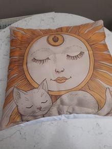 Cat Cushion